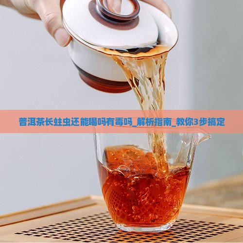 普洱茶长蛀虫还能喝吗有毒吗