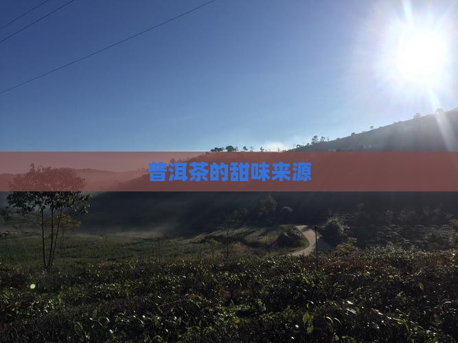 普洱茶的甜味来源