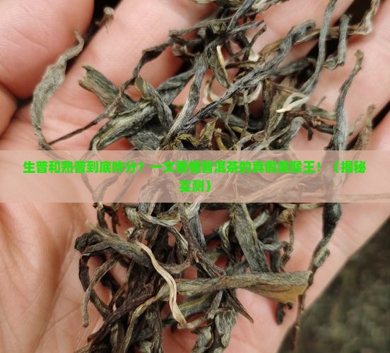 普洱茶如何区别生普和熟普
