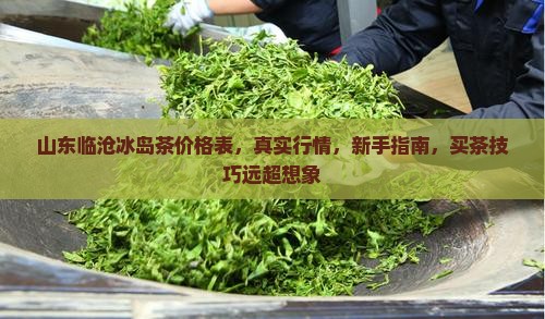 山东临沧冰岛茶价格表