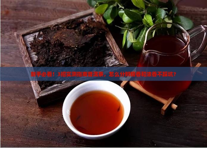 普洱茶如何分辨糯香还是浓香 普洱茶如何分辨糯香还是浓香