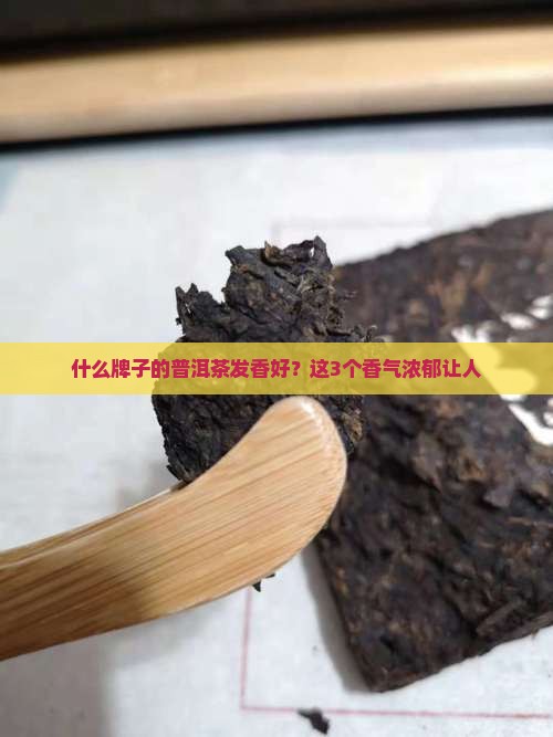 什么牌子的普洱茶发香好 什么牌子的普洱茶发香好