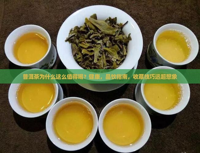 普洱茶为什么这么值得喝
