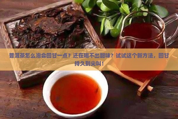 普洱茶怎么泡会回甘一点