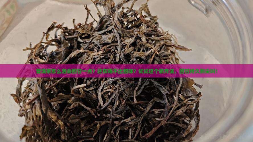 普洱茶怎么泡会回甘一点