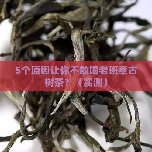 翡翠老班章古树茶