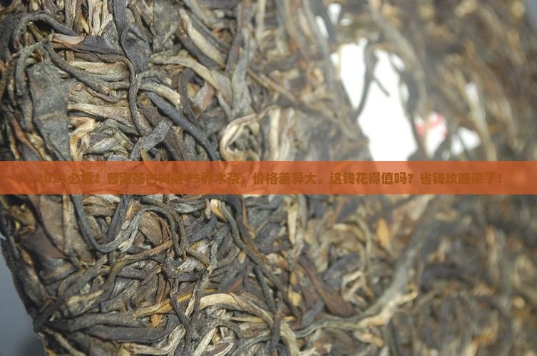 普洱茶古树茶比乔木茶贵吗