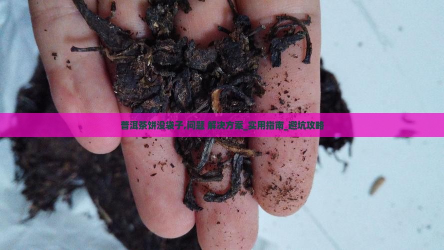 普洱茶饼没袋子怎么办