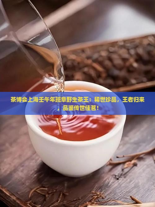 茶博会上海壬午年班章野生茶王
