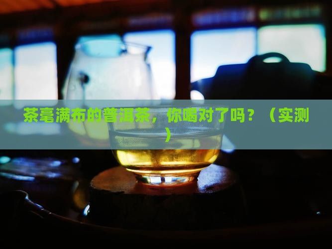 茶毫满布的普洱茶
