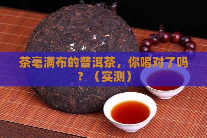 茶毫满布的普洱茶