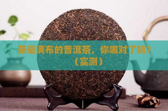 茶毫满布的普洱茶
