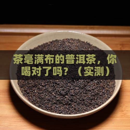 茶毫满布的普洱茶