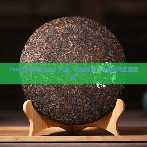 7158普洱茶