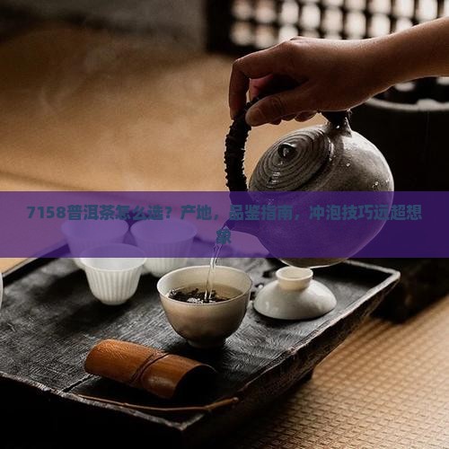 7158普洱茶