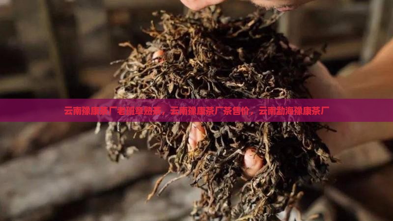 云南豫康茶厂老班章熟茶