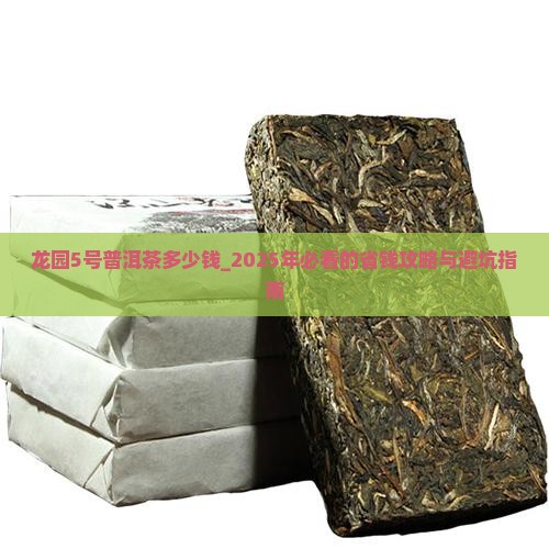 龙园5号普洱茶多少钱