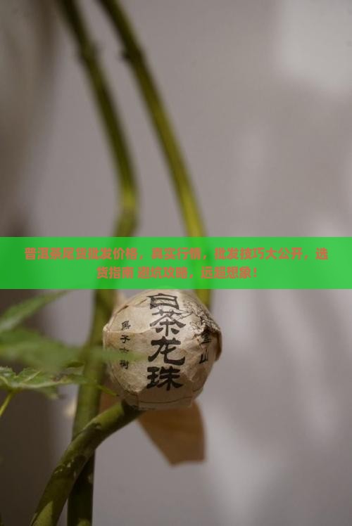 普洱茶尾货批发价格
