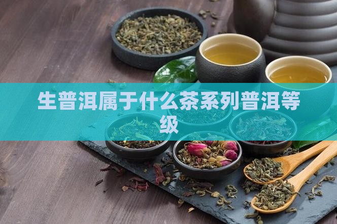 生普洱属于什么茶系列普洱等级