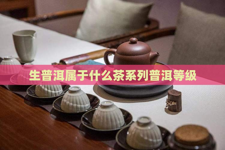 生普洱属于什么茶系列普洱等级