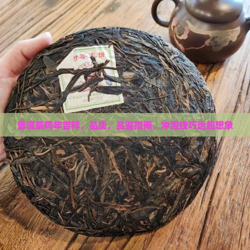 普洱茶鸡年吉祥