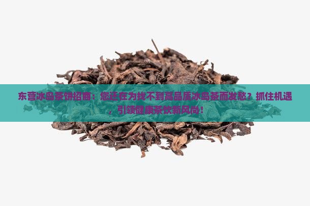 东营冰岛茶饼招商