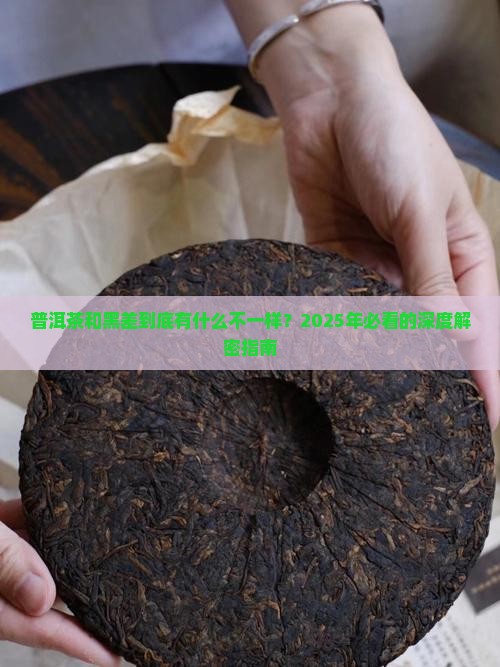 普洱茶和黑差有什么区别