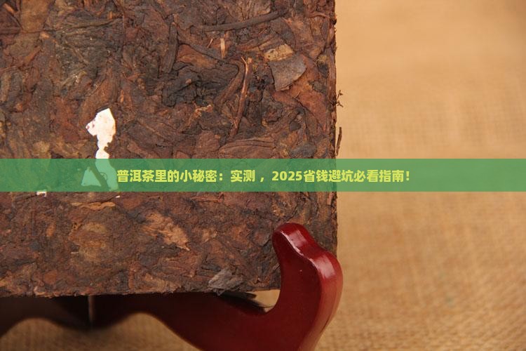普洱茶里面的细小杂质