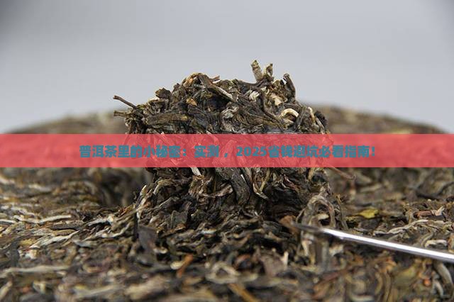 普洱茶里面的细小杂质
