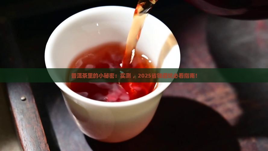普洱茶里面的细小杂质