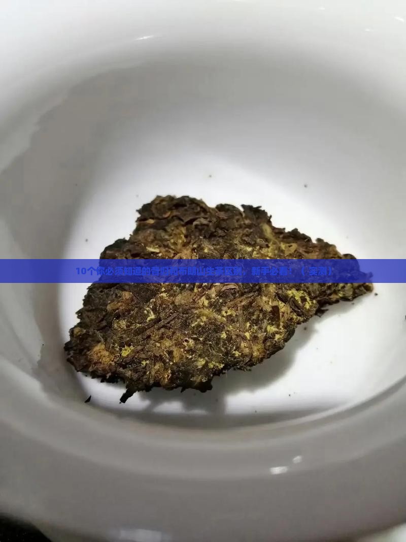昔归和布朗山生茶的区别