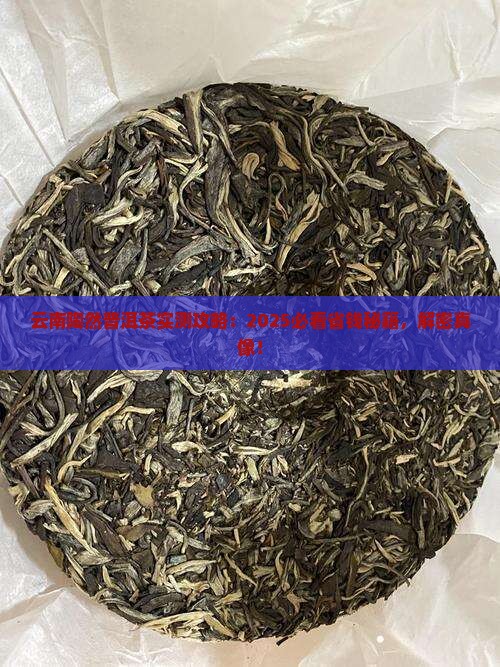 云南陶然普洱茶