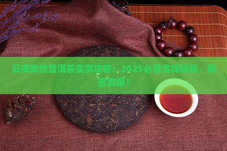 云南陶然普洱茶
