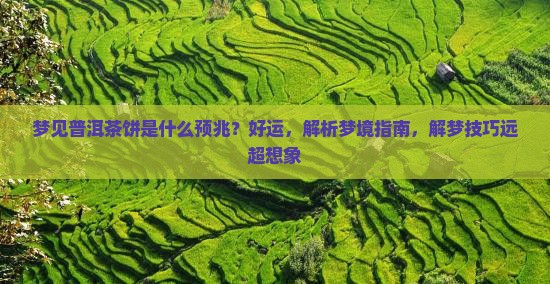 梦见普洱茶饼是什么预兆