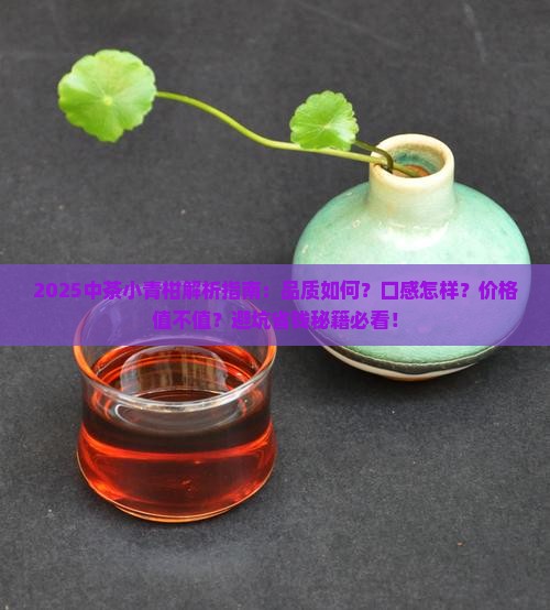 中茶小青柑怎么样