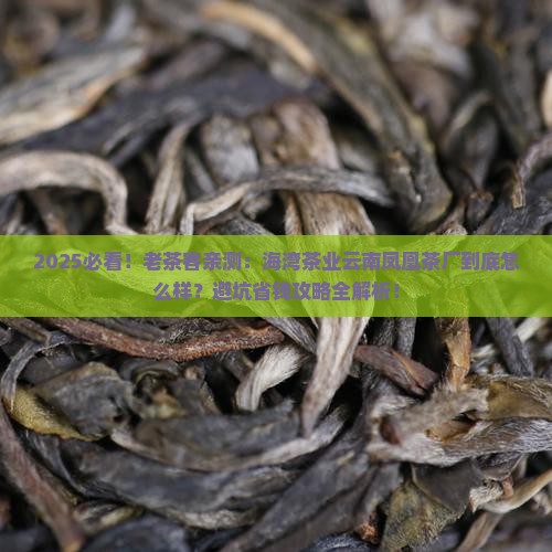 海湾茶业老同志官网云南凤凰茶厂 海湾茶业老同志官网云南凤凰茶厂