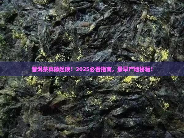 普洱茶最早产地
