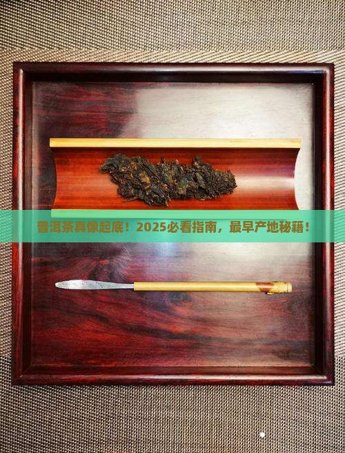 普洱茶最早产地