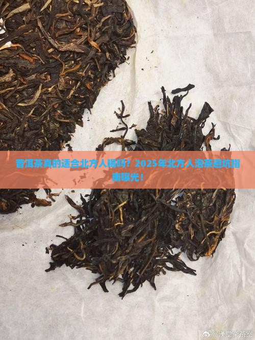 普洱茶适合北方人泡吗 普洱茶适合北方人泡吗