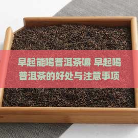 早起能喝普洱茶嘛