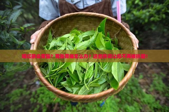 喝红茶会胃酸怎回事