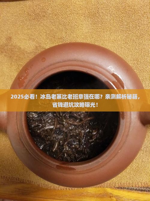 冰岛老寨比老班章过