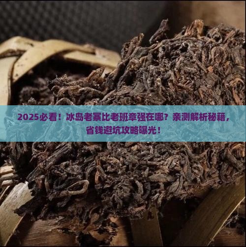 冰岛老寨比老班章过