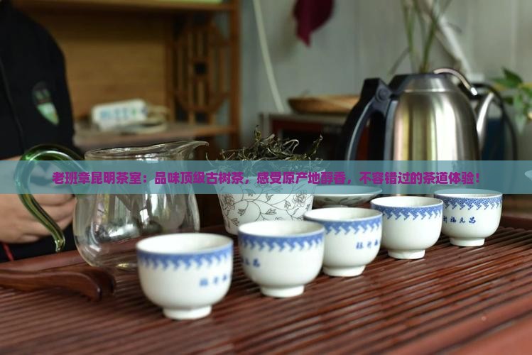 老班章昆明茶室