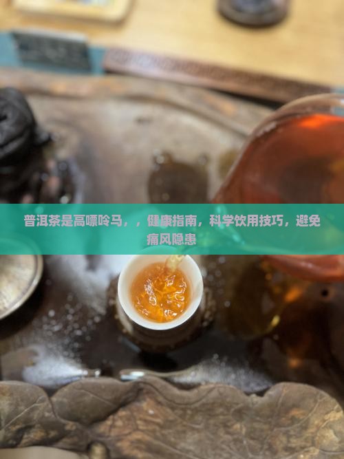普洱茶是高嘌呤马