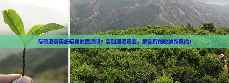 存普洱茶用纸箱