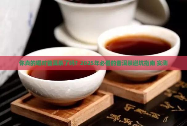 云南普洱茶公众号推文