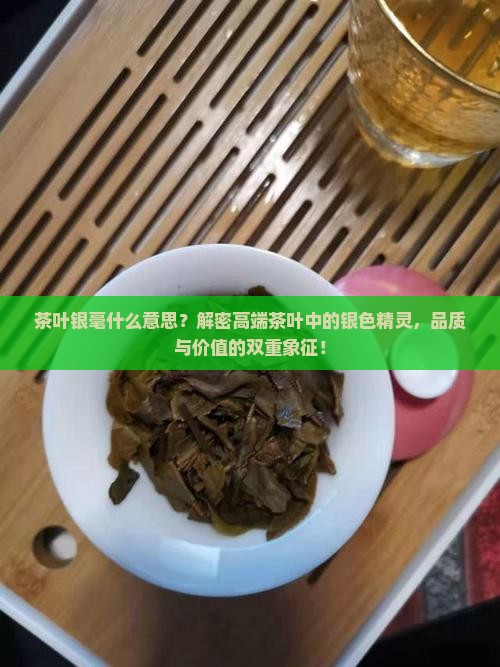 茶叶银毫什么意思