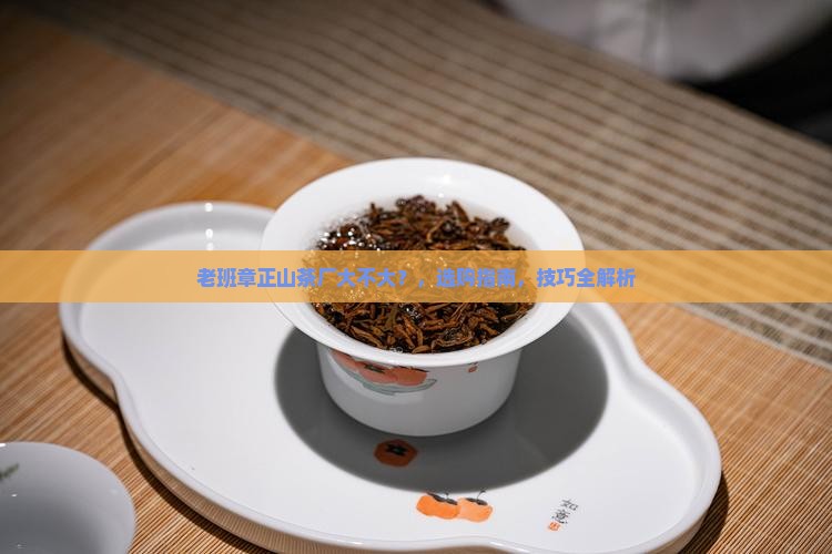 老班章正山茶厂大不大