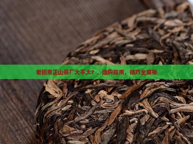 老班章正山茶厂大不大